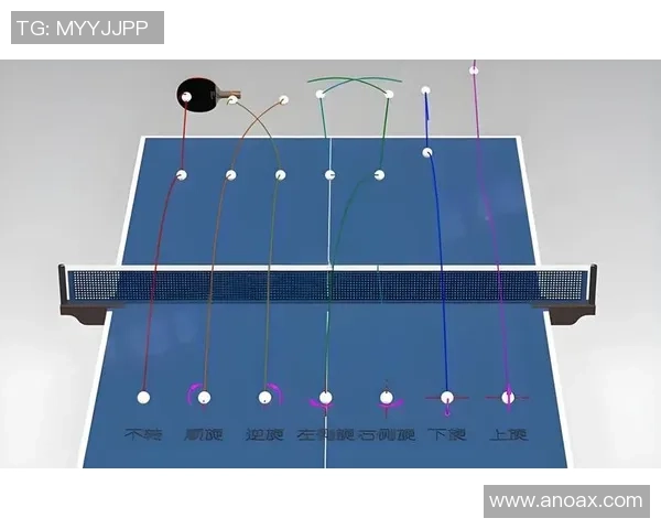 乒乓球运动的文化魅力与全民健身推动作用的深入探讨