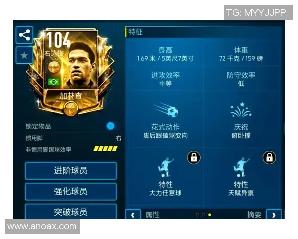 从绿茵战术到球星风采全面解析现代足球多元魅力与未来发展新趋势