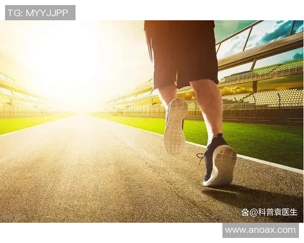 打造健康体魄从健身开始 让运动成为日常生活的必需品 打造健康体魄从健身开始 让运动成为日常生活的必需品